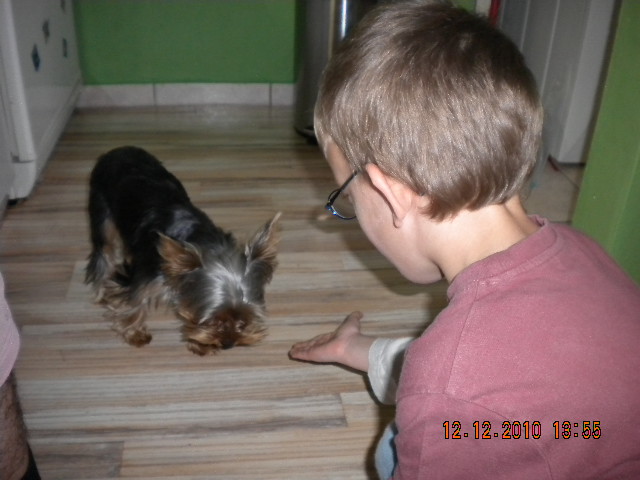 Kuba 11.let - kluci besídka 173