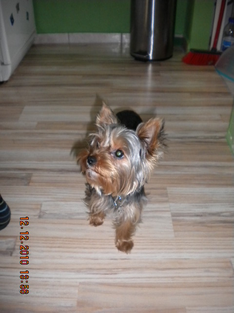 Kuba 11.let - kluci besídka 174